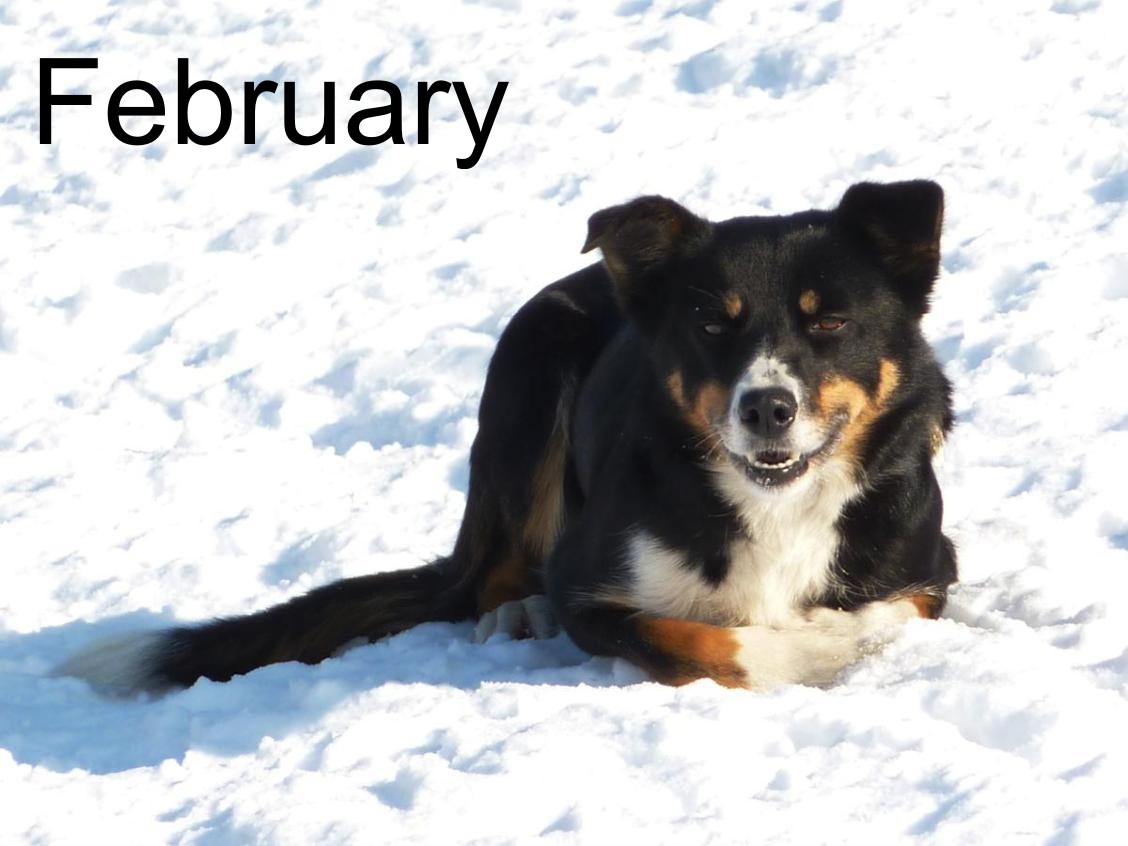 bess-february.jpg